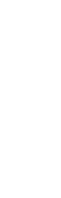 焼鳥 真守（まもり）